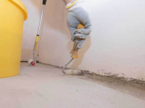 Best Pest Exclusion Services  in Patton Village, TX